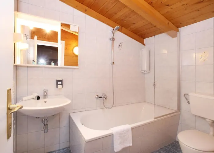 Edelweiss Lake Apartments Zell Am See Appartement
